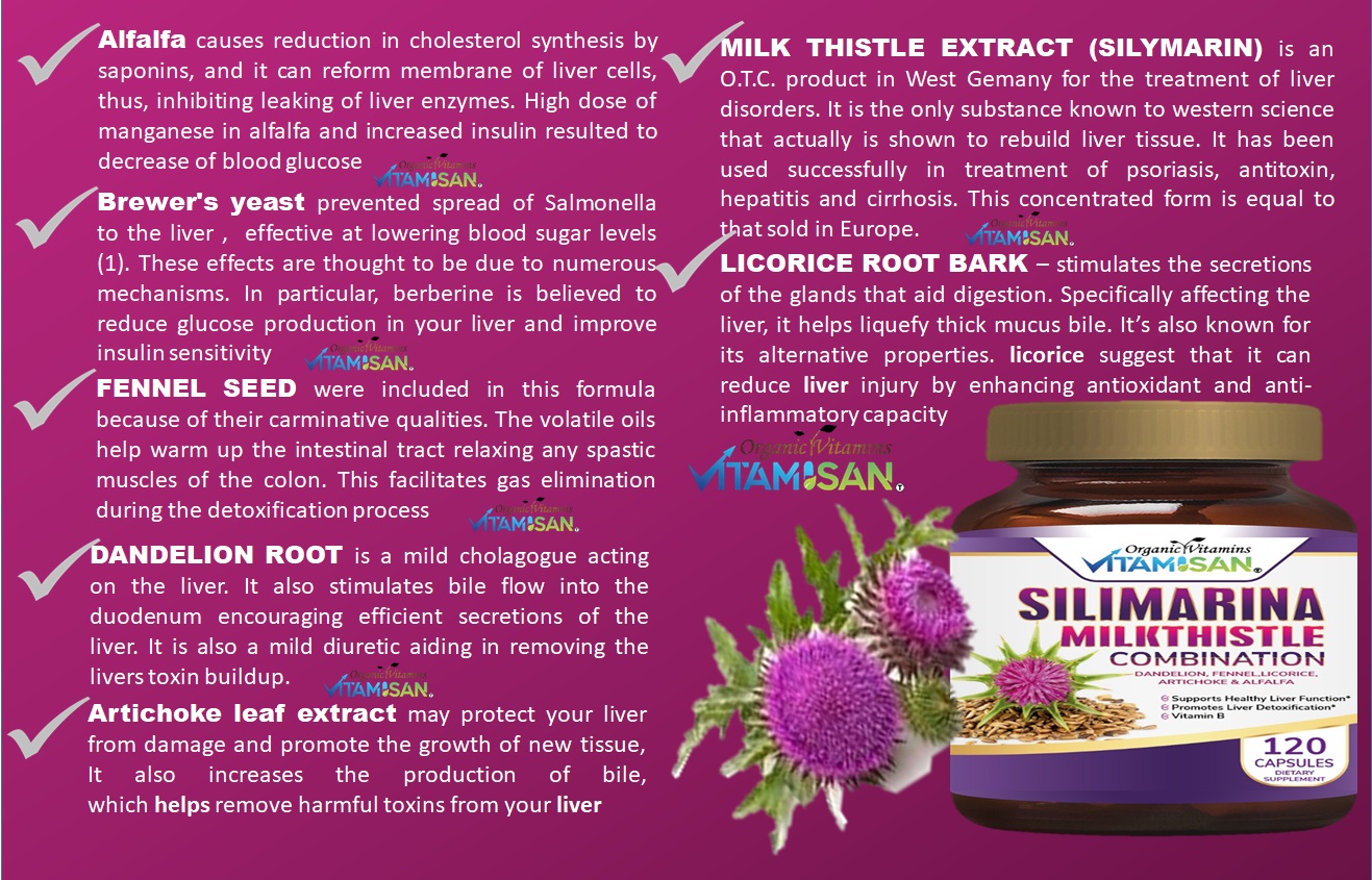 Silimarina Vitamisan 120 CAPSULES VITAMISAN