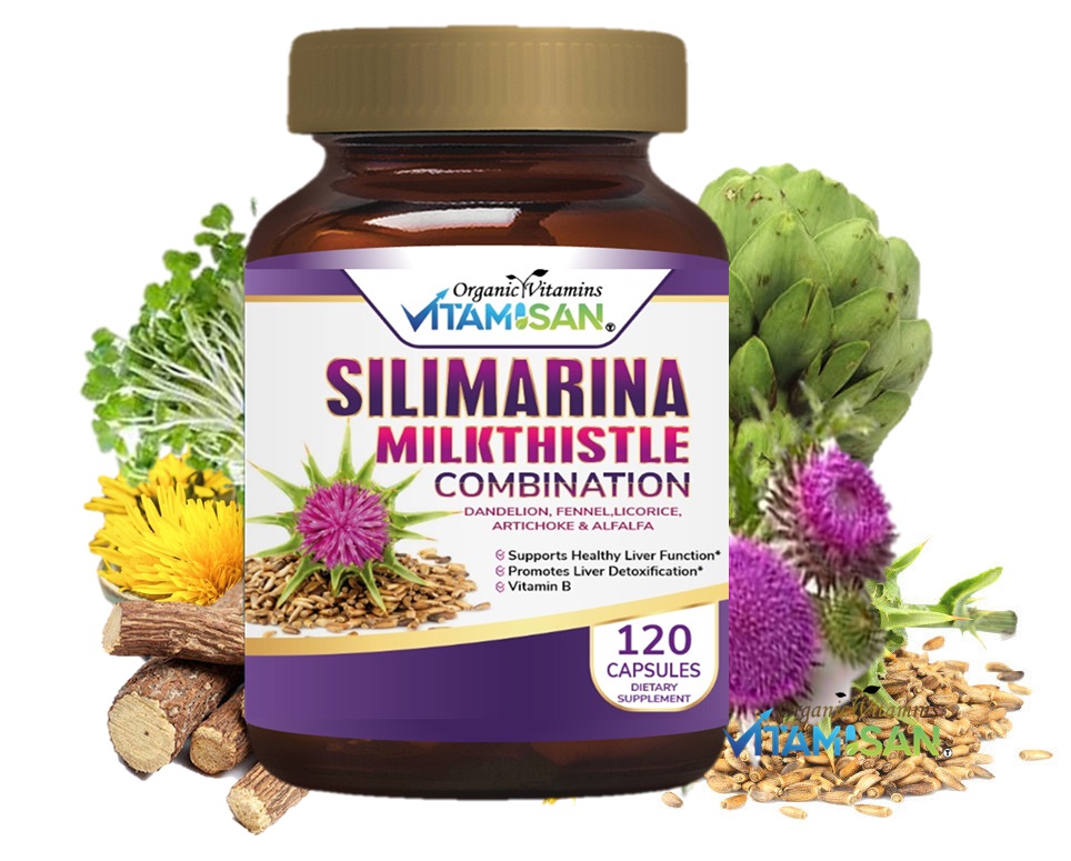 Silimarina Vitamisan 120 CAPSULES VITAMISAN