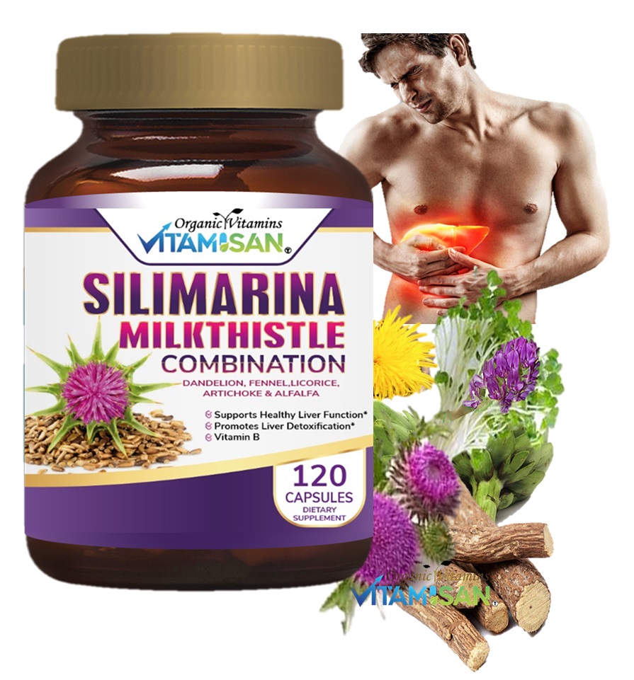 Silimarina Vitamisan 120 CAPSULES VITAMISAN
