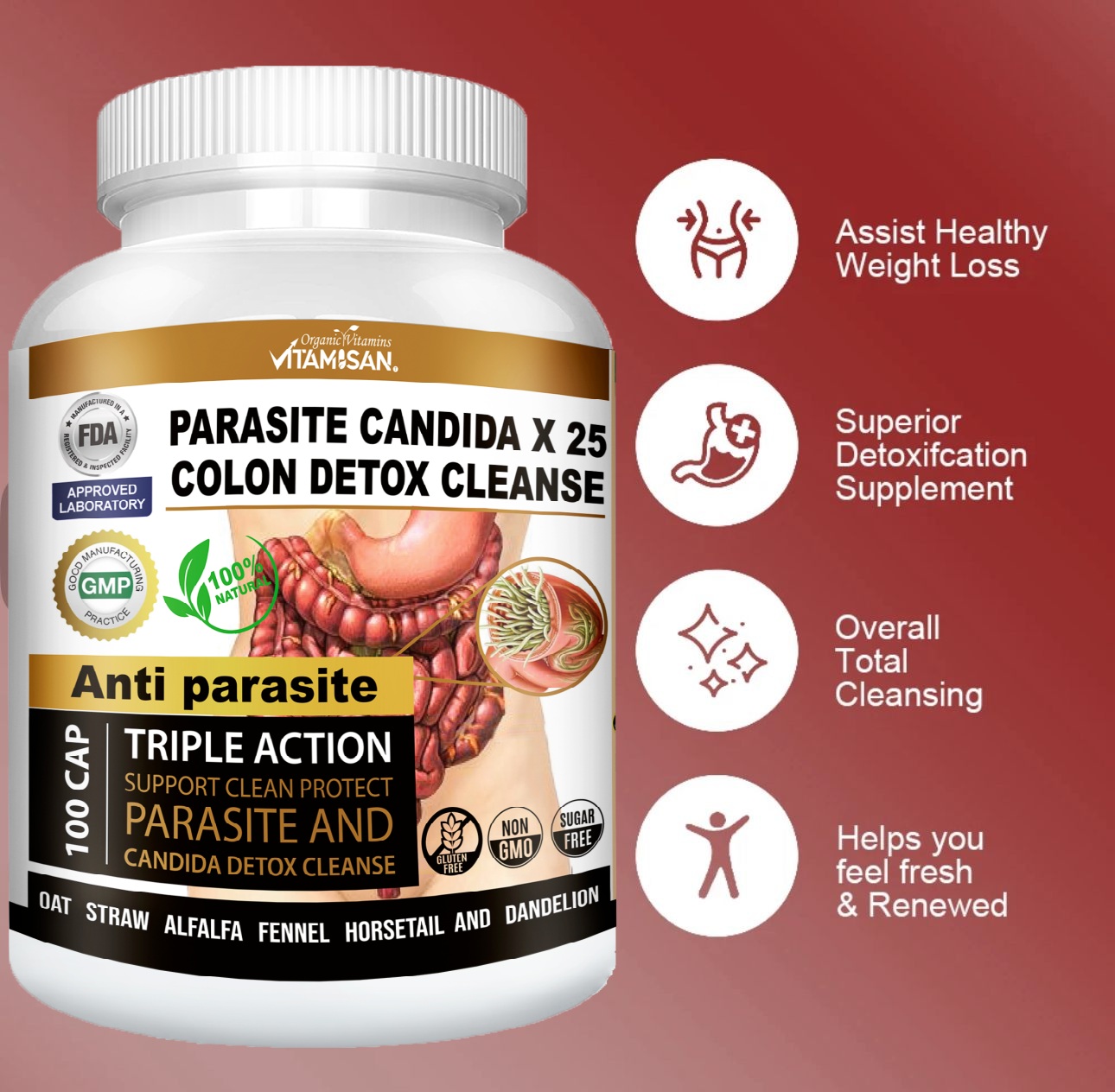PARASITE CANDIDA COLON DETOX CLEANSE 100 VITAMISAN