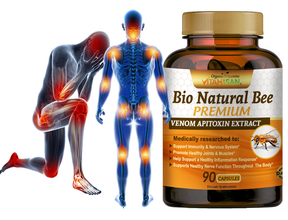 BIO NATURAL BEE PREMIUM VITAMISAN 90 CAPS